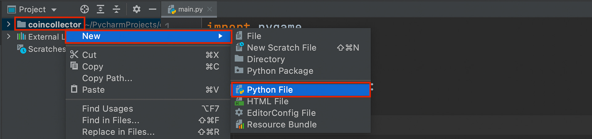 pygame lernen: Wir erstellen eine neue Python File